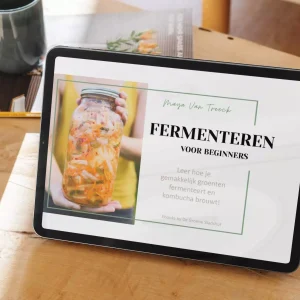 Een Ipad toont de titelpagina van het ebook 'groenten fermenteren voor beginners' dat geschreven is door Maya Van Treeck van De Groene Stadshut.
