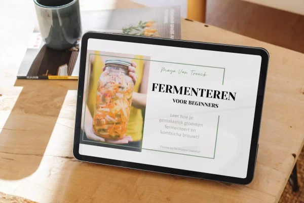 Een Ipad toont de titelpagina van het ebook 'groenten fermenteren voor beginners' dat geschreven is door Maya Van Treeck van De Groene Stadshut.